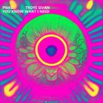 pnau_troye_sivan.jpeg